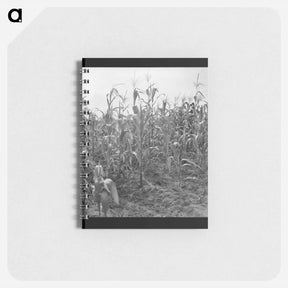 アートメモ帳-Close up of poor corn - ドロテア ラング Memo.