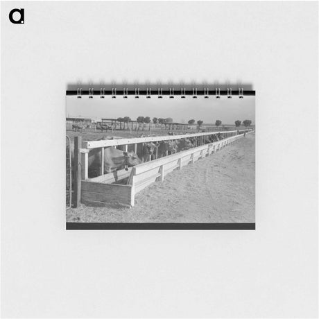 アートメモ帳-Chicago Sign
 - ラッセル リー Memo.