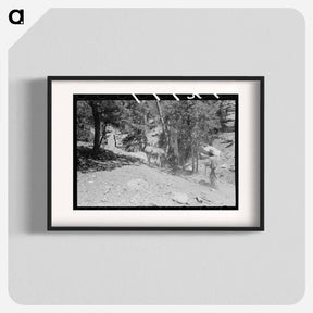 アートポスター-Hewing Ties, Pie Town
 - ラッセル リー Poster.