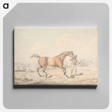 アートパネル-A Groom Leading a Bay Horse
 - イェール大学アートギャラリー Canvas.