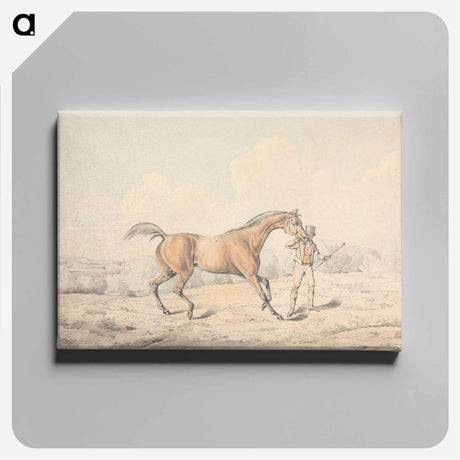 アートパネル-A Groom Leading a Bay Horse
 - イェール大学アートギャラリー Canvas.