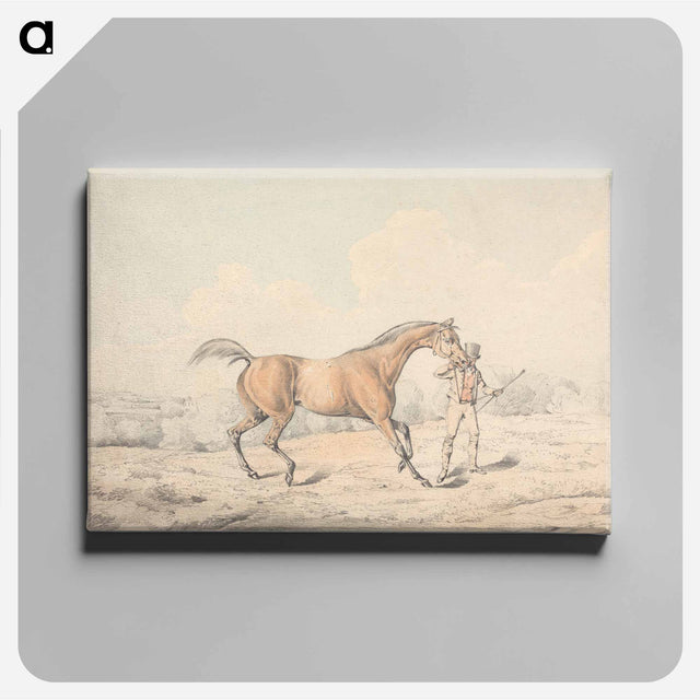アートパネル-A Groom Leading a Bay Horse
 - イェール大学アートギャラリー Canvas.