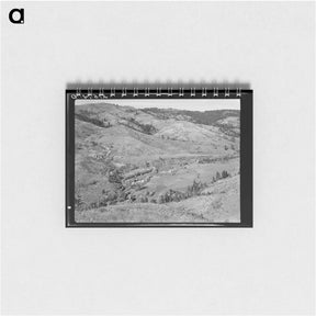 アートメモ帳-Untitled photo - ドロテア ラング Memo.