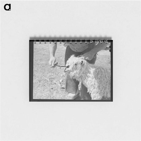 アートメモ帳-Rolling Machine, Nueces Bay
 - ラッセル リー Memo.
