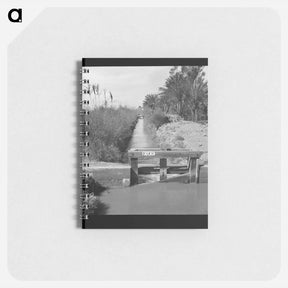 アートメモ帳-Irrigation ditch along the road. Imperial Valley, California. - ドロテア ラング Memo.