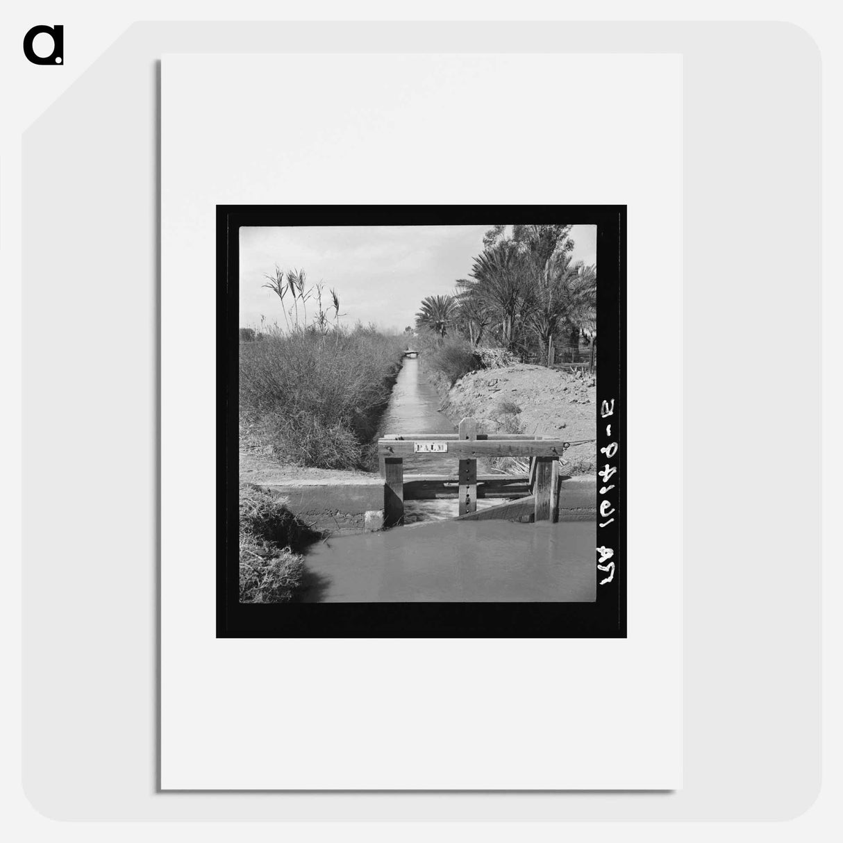 Irrigation ditch along the road. Imperial Valley, California. - ドロテア ラング Poster.