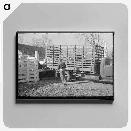 アートパネル-Unloading Hogs at the Stockyards
 - ラッセル リー Canvas.