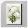 アートパネル-White Chrysanthemum, Mrs. Alpheus Hardy
 - ボストン公共図書館 Canvas.