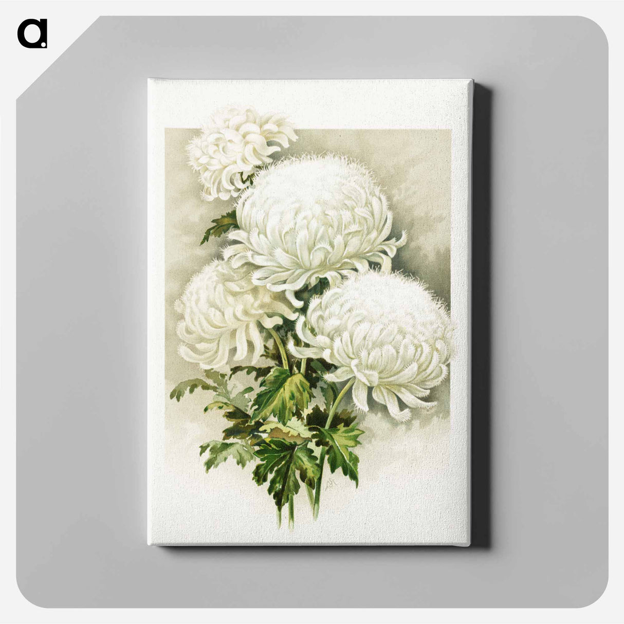 アートパネル-White Chrysanthemum, Mrs. Alpheus Hardy
 - ボストン公共図書館 Canvas.