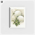 アートメモ帳-White Chrysanthemum, Mrs. Alpheus Hardy
 - ボストン公共図書館 Memo.