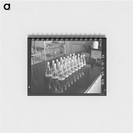 アートメモ帳-Soap Maker of Taos
 - ラッセル リー Memo.