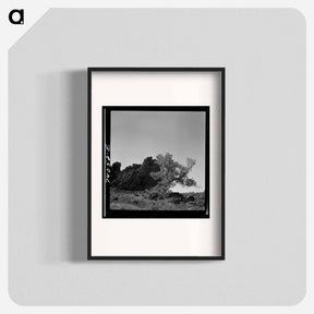 アートポスター-Craters of the Moon, Idaho
 - ラッセル リー Poster.