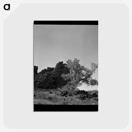 アートポストカード-Craters of the Moon, Idaho
 - ラッセル リー Postcard.