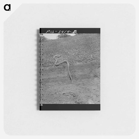 アートメモ帳-Consolidated Aircrafts, San Diego
 - ラッセル リー Memo.
