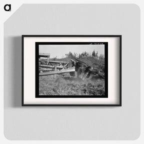 アートポスター-Caterpillar clearing land on cut-over western Washington farm - ドロテア ラング Poster.