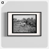 Caterpillar clearing land on cut-over western Washington farm - Dorothea Lange Poster.