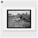 Caterpillar clearing land on cut-over western Washington farm - Dorothea Lange Poster.