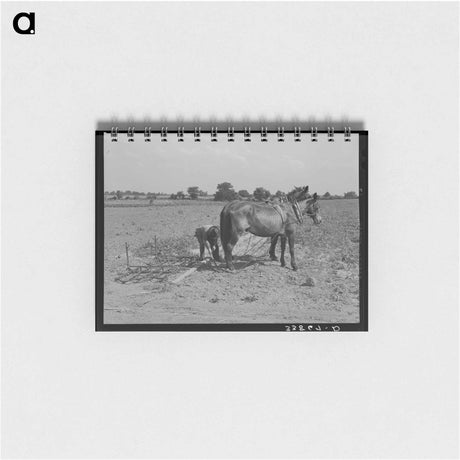 アートメモ帳-Migrant Family's Table
 - ラッセル リー Memo.