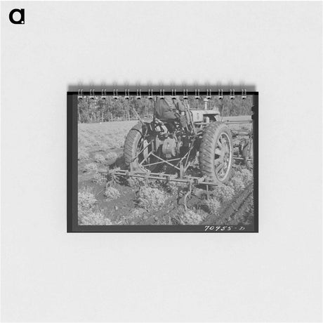 アートメモ帳-Boxcar Home
 - ラッセル リー Memo.