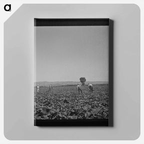 アートパネル-Guayule Nursery Digger
 - ラッセル リー Canvas.
