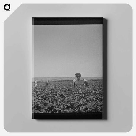 アートパネル-Guayule Nursery Digger
 - ラッセル リー Canvas.