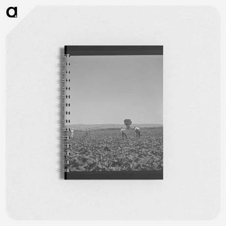 アートメモ帳-Guayule Nursery Digger
 - ラッセル リー Memo.