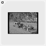アートポストカード-Guayule Nursery Digger
 - ラッセル リー Postcard.