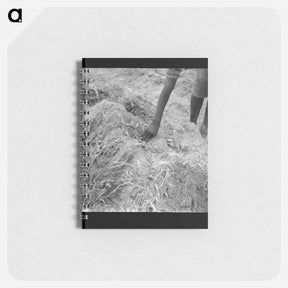 アートメモ帳-Untitled photo - ドロテア ラング Memo.