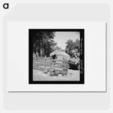 Shelter in one of the large shacktown communities around Yakima - Dorothea Lange Poster.