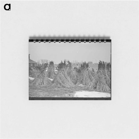 アートメモ帳-Lake Dick Cooperative Repair
 - ラッセル リー Memo.