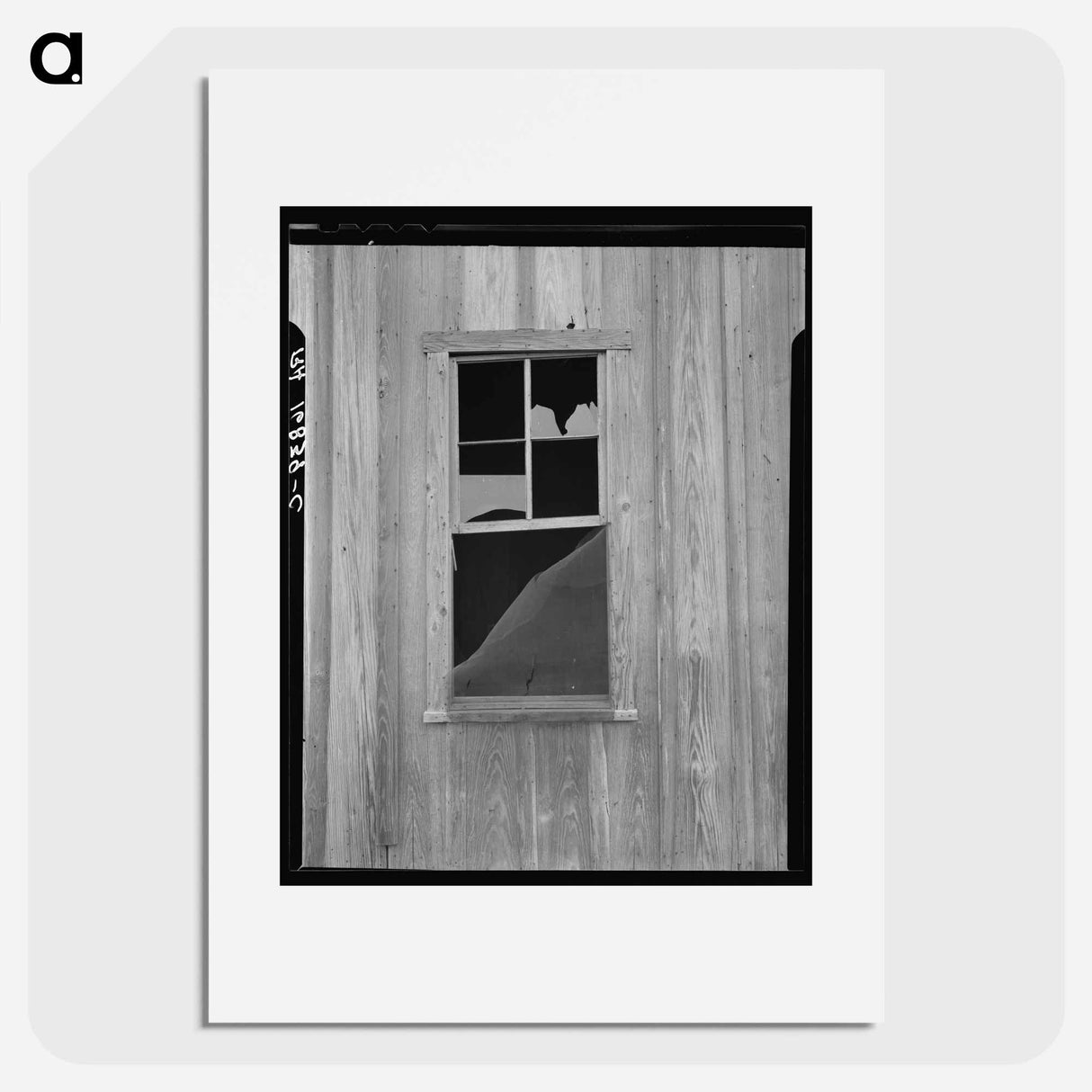 Abandoned shack of a tenant farmer near Roscoe, Texas - Dorothea Lange Poster.