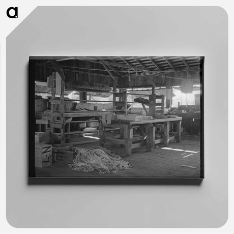 アートパネル-Kentucky Wonder Pole Beans
 - ラッセル リー Canvas.