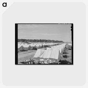 アートポストカード-FSA Migrant Camp
 - ラッセル リー Postcard.