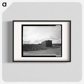 アートポスター-Freight car converted into house in "Little Oklahoma," California - ドロテア ラング Poster.