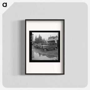 アートポスター-Untitled photo, possibly related to: Roadside used car display on State Highway 17, in season when migrants come into region for pea-picking. Santa Clara County, California - ドロテア ラング Poster.