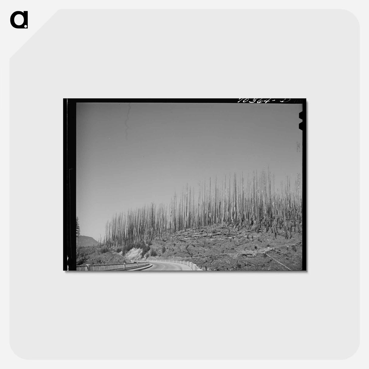 アートポストカード-Cut-over Forest Land
 - ラッセル リー Postcard.