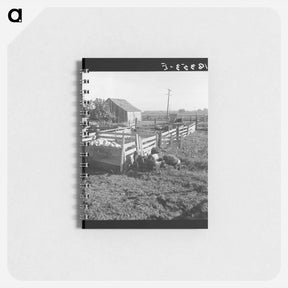 アートメモ帳-Untitled photo - ドロテア ラング Memo.