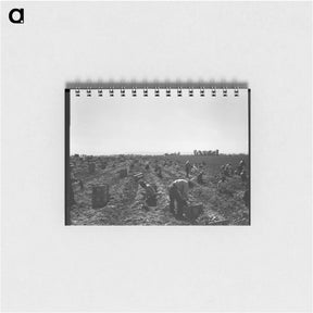 アートメモ帳-Near Meloland, Imperial Valley - ドロテア ラング Memo.