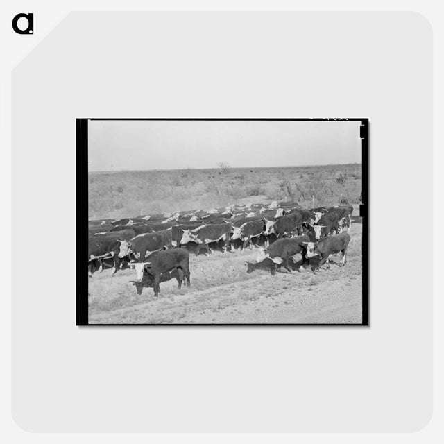 アートポストカード-Eagle Pass Roundup
 - ラッセル リー Postcard.