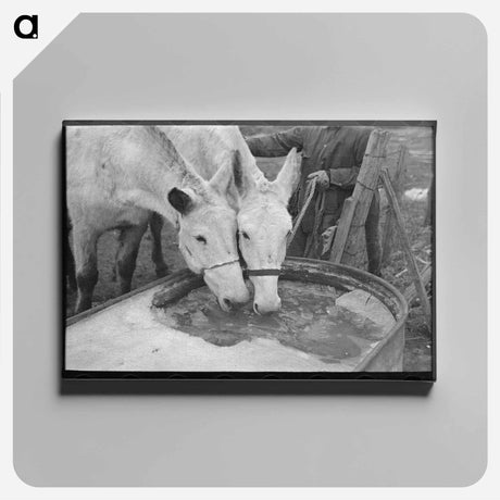アートパネル-Braiding Horse's Tail
 - ラッセル リー Canvas.