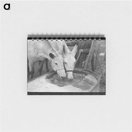 アートメモ帳-Braiding Horse's Tail
 - ラッセル リー Memo.