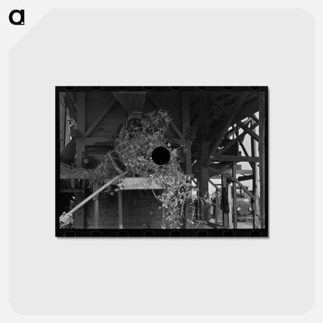 アートポストカード-Loading Hulled Peas
 - ラッセル リー Postcard.