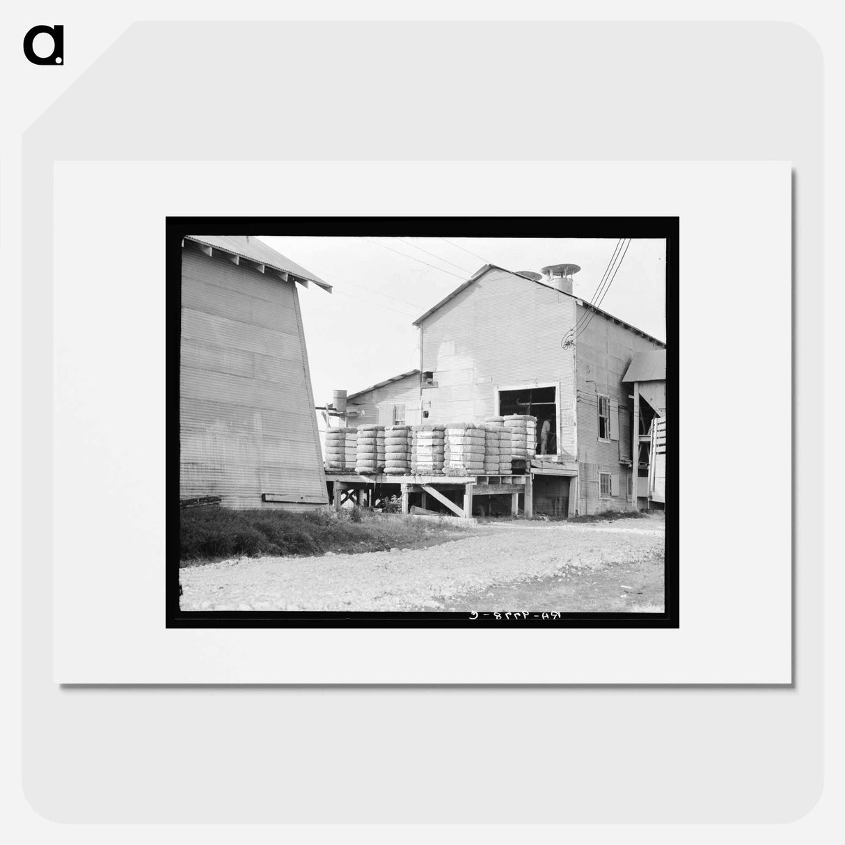 Cotton bales on gin platform - Dorothea Lange Poster.