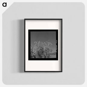 アートポスター-Park County Oats
 - ラッセル リー Poster.