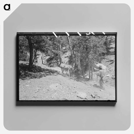 アートパネル-Park County Oats
 - ラッセル リー Canvas.