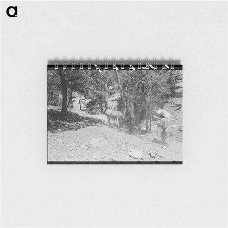 アートメモ帳-Park County Oats
 - ラッセル リー Memo.