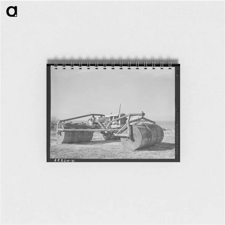 アートメモ帳-Bernalillo Blossoms
 - ラッセル リー Memo.