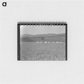 アートメモ帳-Migratory labor camp in the Santa Clara Valley - ドロテア ラング Memo.