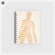 アートメモ帳-Standing Nude
 - イェール大学アートギャラリー Memo.