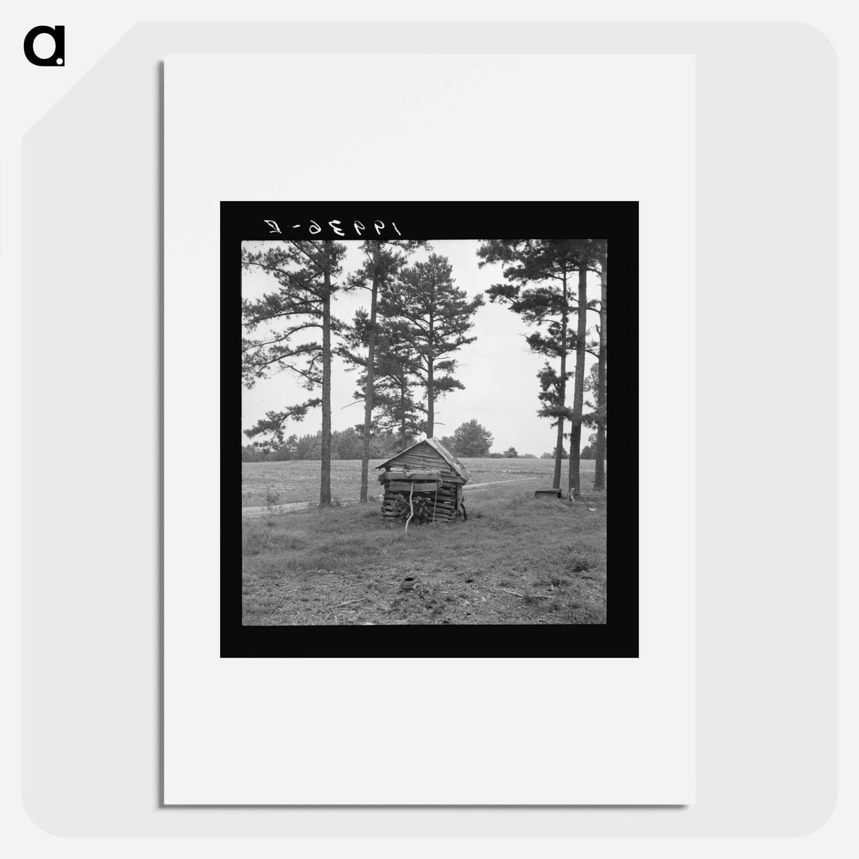 Henhouse on tobacco farm - Dorothea Lange Poster.